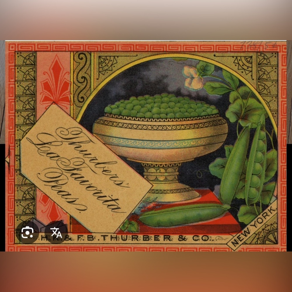 Vintage H.K. & F.B. Thurber & Co Blueberries and Peas Place Mats - Picture 3 of 5